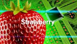 2024最强，CHATGPT 两周内发布GPT4.5！这次AI真的会更聪明吗？