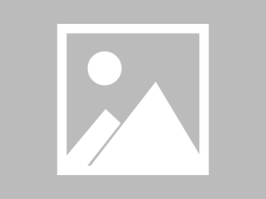 怎么确认我用的ChatGPT官网是正版？5个方法快速鉴别，避免被骗！