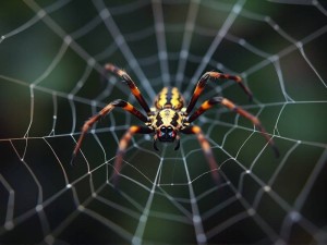 ChatGPT能帮我写爬虫代码吗？当然可以，但要注意这5点！