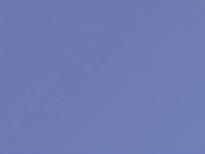 ChatGPT支持中文吗？全方位解析中文使用技巧与优化方法