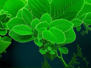 国内如何使用ChatGPT？完整注册与访问指南（2024最新版）