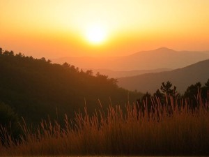 ChatGPT会消灭人类吗？深度解析AI的真实威胁与机遇