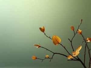 硕士论文能用ChatGPT辅助写作吗？学术规范与高效技巧全指南